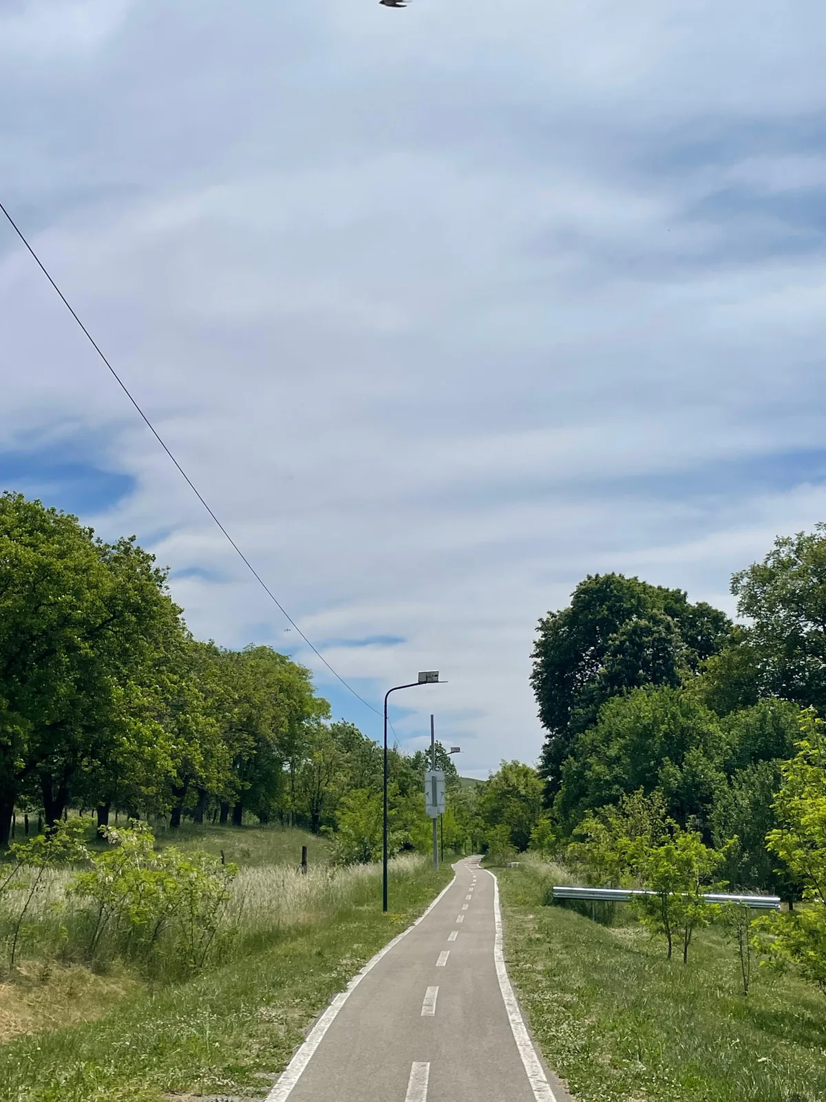 Pistă asfaltată de biciclete prin câmp