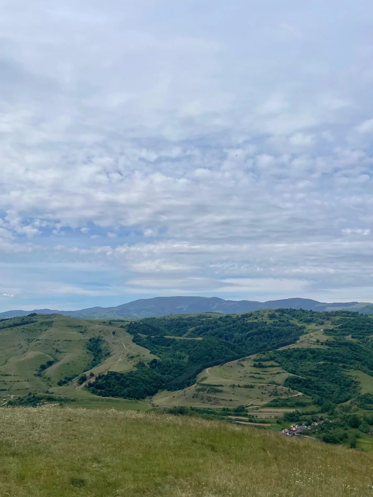 Panoramă peste dealurile Apusenilor