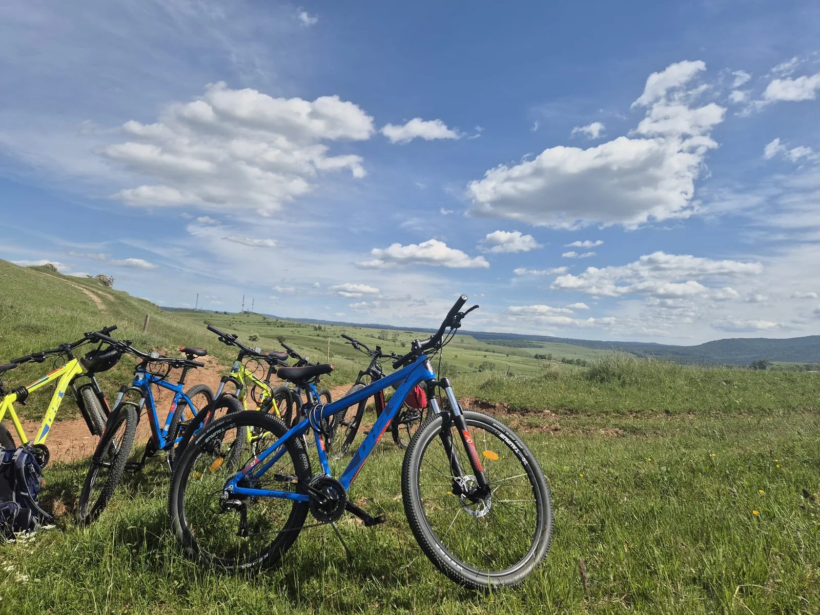 Grup de biciclete aliniate pe deal