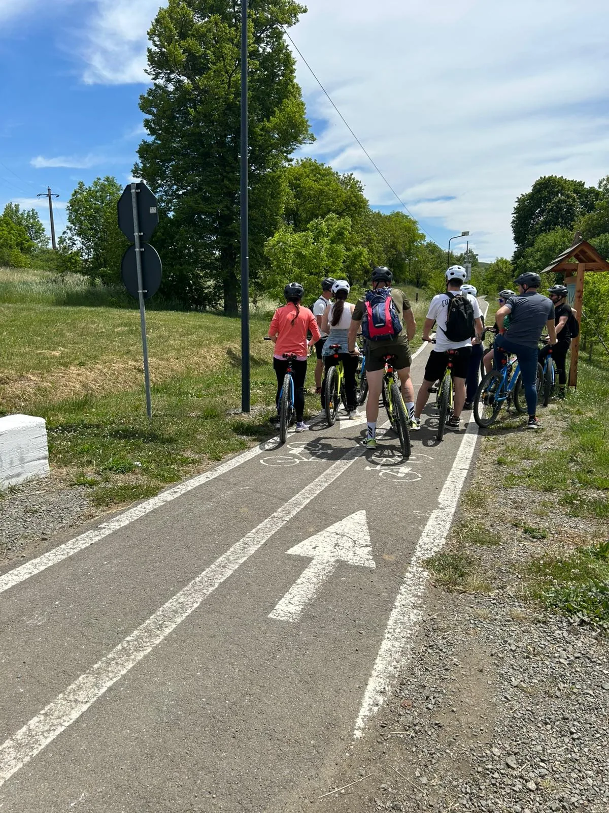 Grup de cicliști pe pista de biciclete