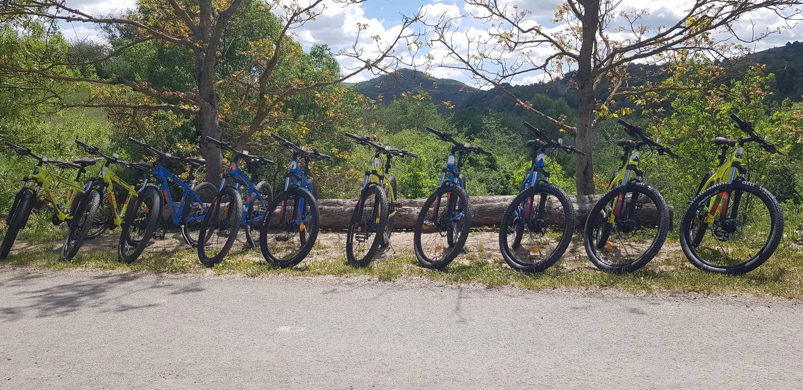 Flota de biciclete MTB aliniată pe traseu