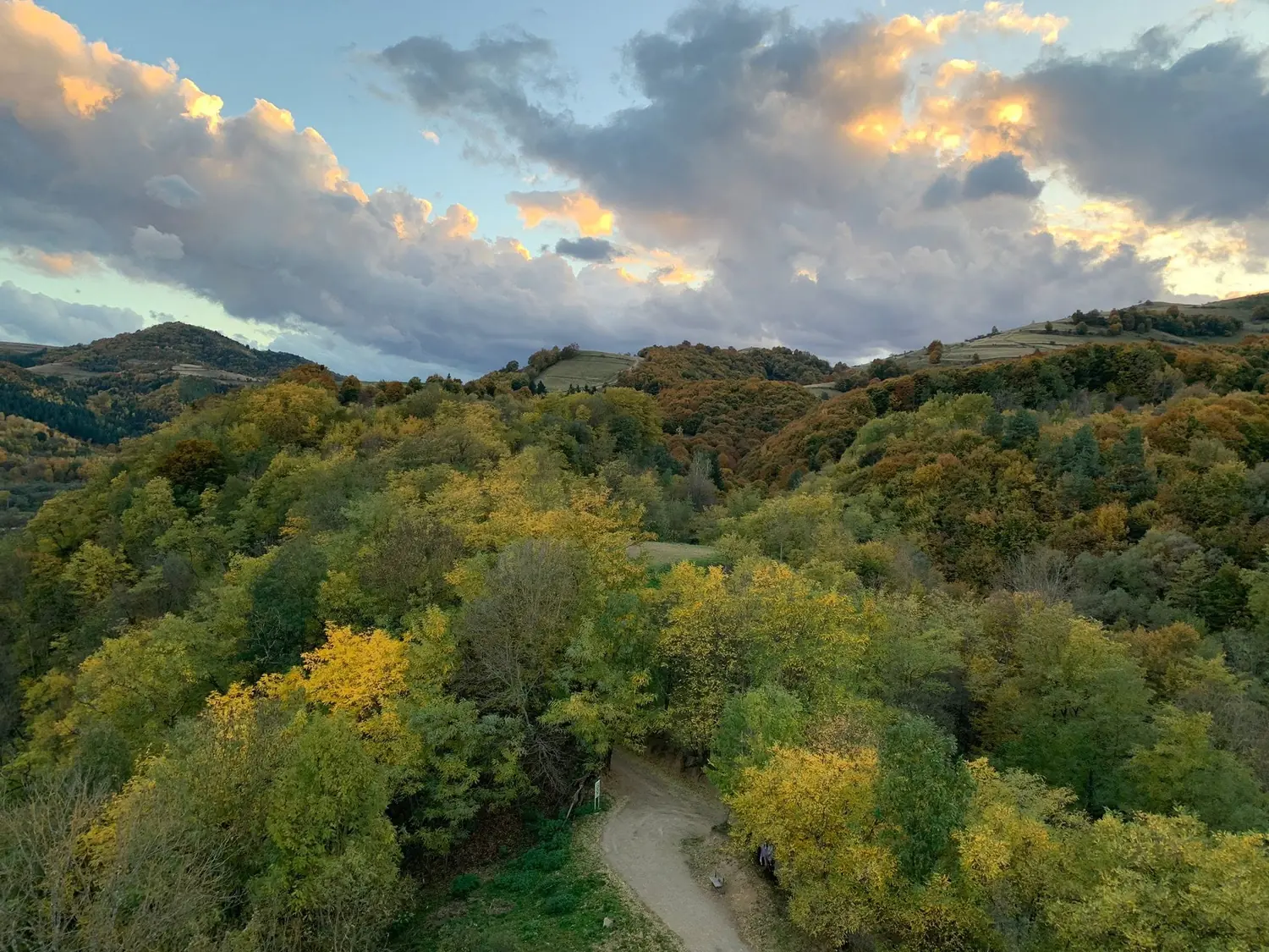 Foto · toamna 1