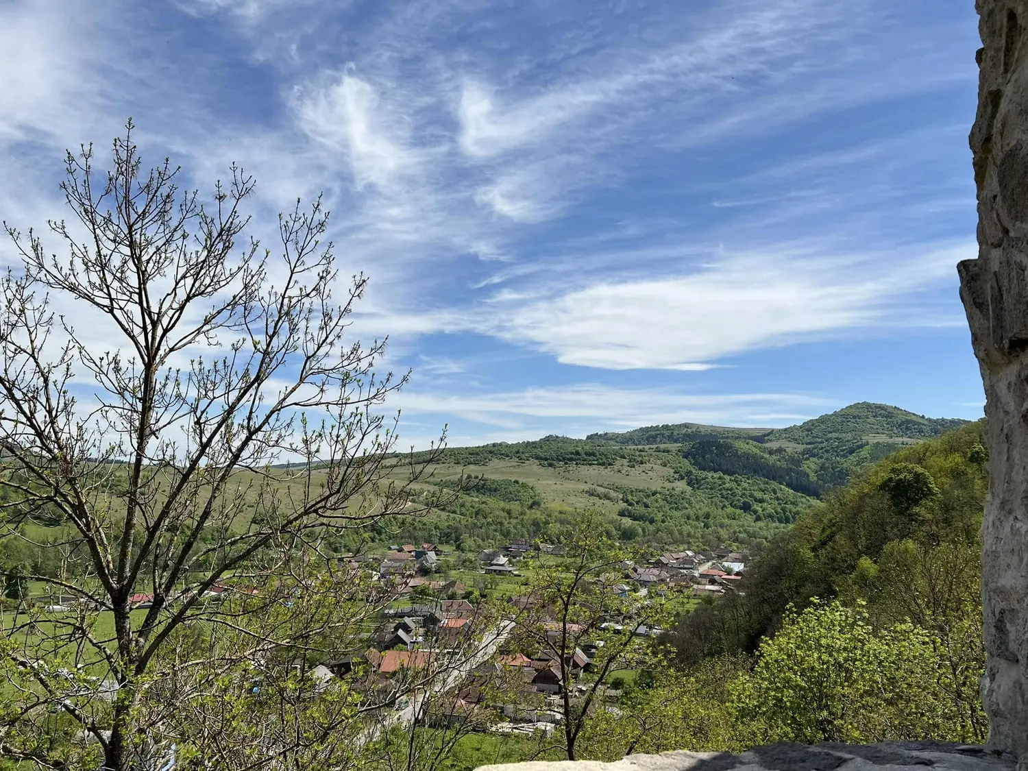 Foto · primăvara 1
